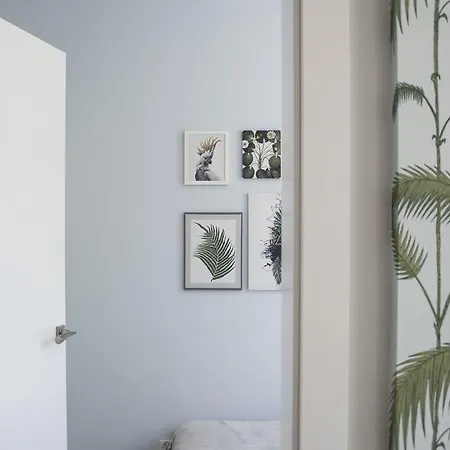 Ts Boutique שצ'צ'ין